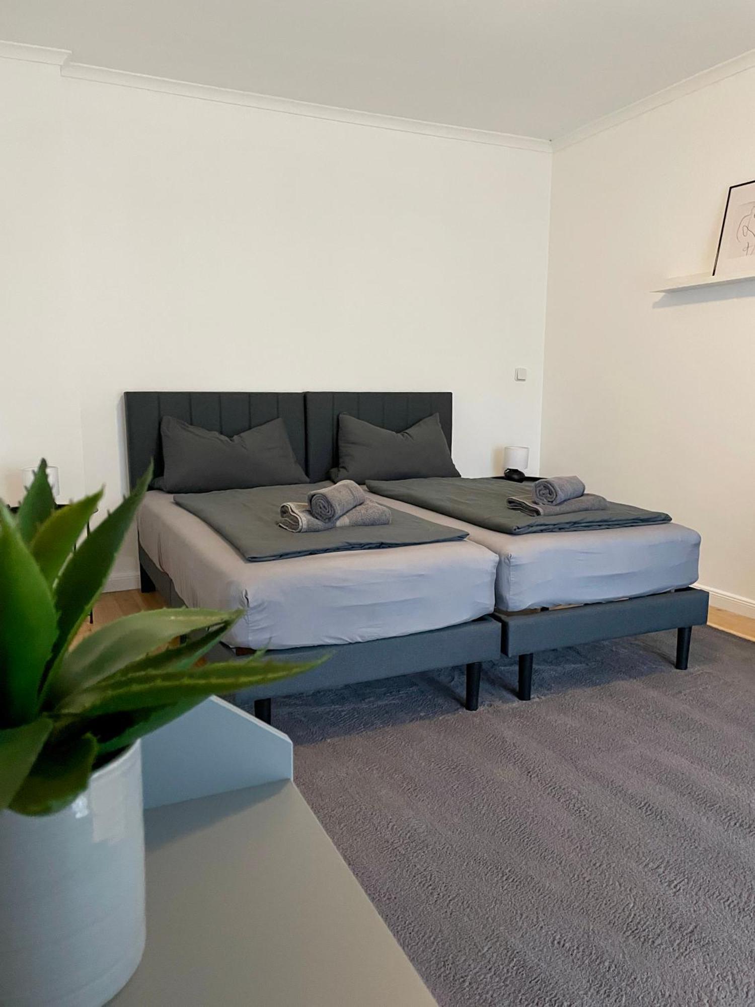 Dene Living Apartments 베를린 객실 사진